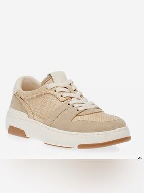 Steven Madden Finn court Sneakers 8.5